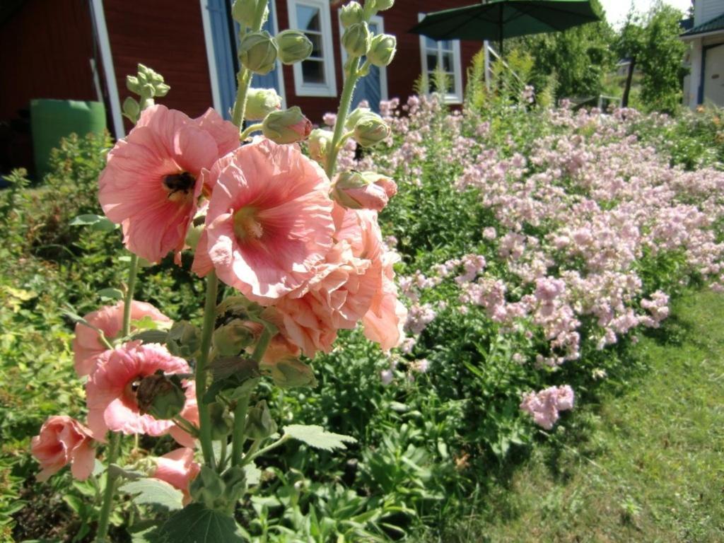 Vandrarhemmet Tallbacka/Aengelsberg Hostel Angelsberg Kültér fotó